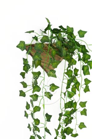 Imagem de Vaso de Parede com Planta Artificial Inclusa