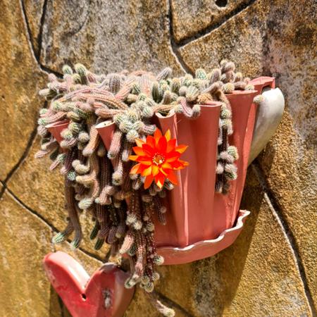 Imagem de Vaso de parede - Plástico reciclado - Modelo Ondulado