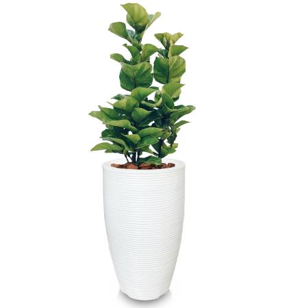 Vaso De Planta 60X38 Redondo Pilão De Polietileno Branco - Foster Plast Imagem de Vaso De Planta 60X38 Redondo Pilão De Polietileno Branco
