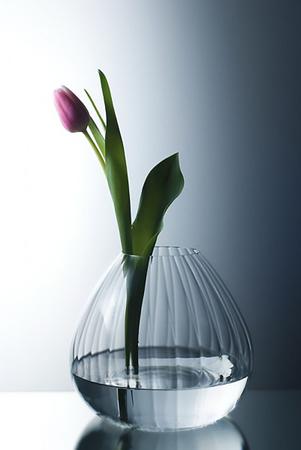 Imagem de Vaso Decorativo de Cristal Ecológico 185 mm Waterfall Bohemia