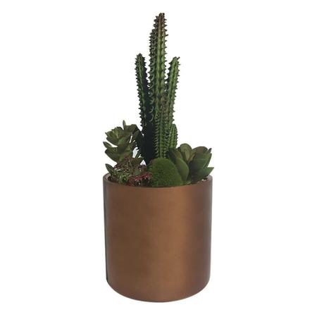 Imagem de Vaso Decorativo Planta Suculenta Verde 17cm - D'Rossi