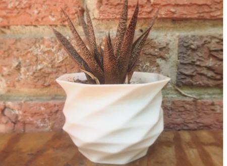 Imagem de Vaso Decorativo Plantas Pequenas