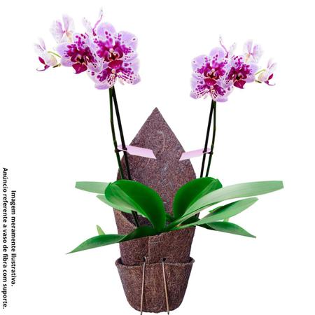 Imagem de Vaso Fibra de Coco Para Pendurar Orquídeas em Árvore Vaso pendente com suporte cachepô suculentas e flores
