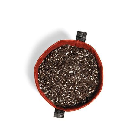 Vaso Flores Plantas Feltro Alças 11 Litros Moderno Vermelho - King Pot Imagem de Vaso Flores Plantas Feltro Alças 11 Litros Moderno Vermelho