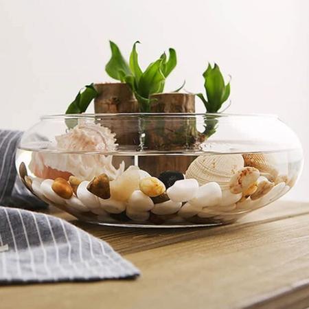 Imagem de Vaso Mini Terrário de Vidro para Suculentas 9x15x18cm