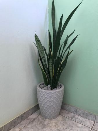 Imagem de vaso para decoração plantas naturais artificiais em polietileno tipo coluna redondo