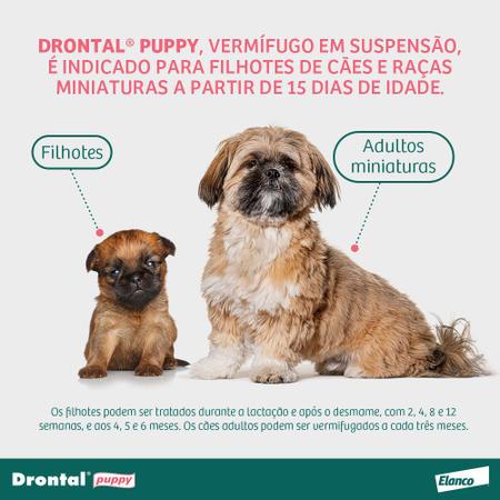 Imagem de Vermífugo Drontal Puppy para Cães Filhotes 20ml