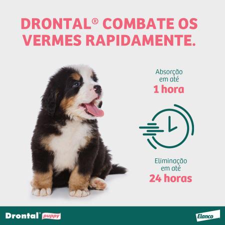 Imagem de Vermífugo Drontal Puppy para Cães Filhotes 20ml