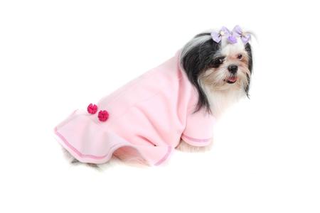 Imagem de Vestido Básico Chic para Cachorro e Gato Pet