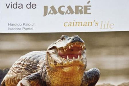 Imagem de Vida de jacare caiman s life - VENTO VERDE