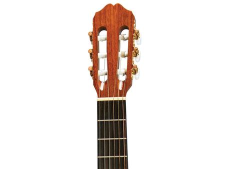 Viol o Takamine EG 522 C Eletroac stico Rosewood Natural