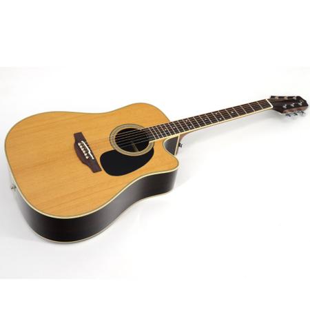 Case takamine folk deals