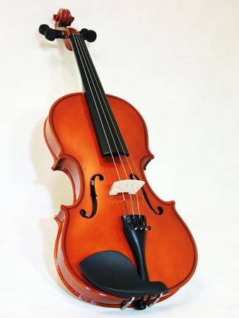 Imagem de Violino Barth Violins 4/4 NT C/ Estojo+ Arco+ Breu- Completo!