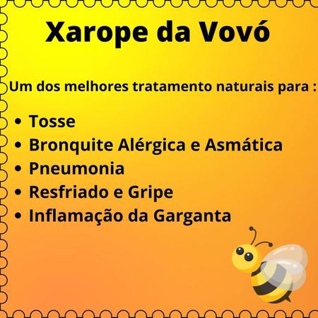 Xarope da Vovó Pneumonia, Bronquite Alérgica, Garganta 250ML - Flora  Natural - Xarope de Bordo / Maple Syrup - Magazine Luiza