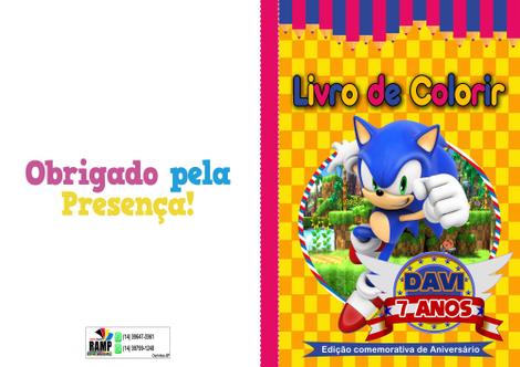 Revista para Colorir - Sonic