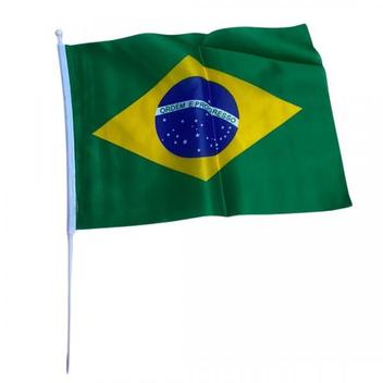Bandeira do Brasil 40 x 60 cm. - NaMega Festas