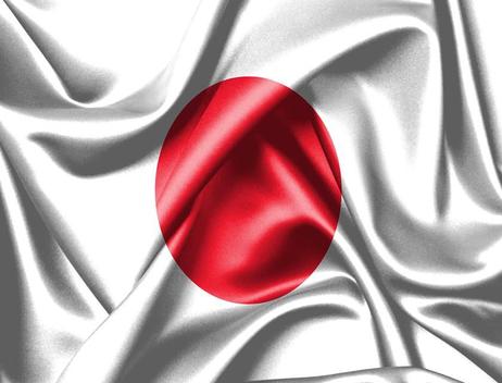 Bandeira do Japão 80cmx140cm Tecido Oxford 100% Poliéster - PRESENTE-BRINDE  - Bandeiras - Magazine Luiza