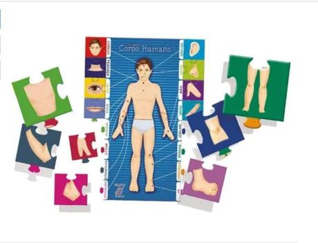 2 Brinquedos Educativos Jogos APrendendo as Formas e Partes do Corpo Humano  Menino e Menina -- Mega Impress - Jogos Educativos - Magazine Luiza