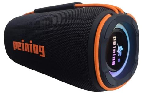 Caixa de Som Peining Preto Pei-282