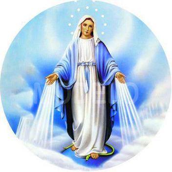 A Cobrinha Azul → Eu Sou um Cão Pastor (Anos 70) ☆ Sessão