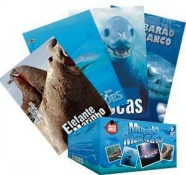 DVD - Coleção Animais Espetaculares: Mundo Marinho - Rexmore - Outros ...