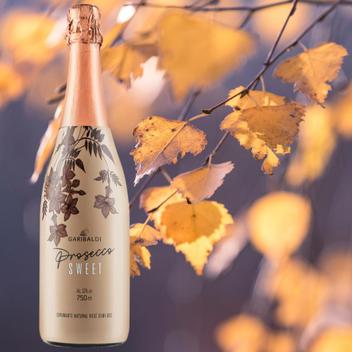 Espumante Rose Prosecco Demi Sec Meio Doce Sweet 750 ml - Mari Store ...