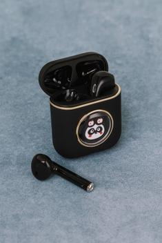 Fone de Ouvido Bichinhos Xtrad Lc-881