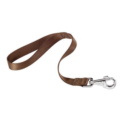 Ferplast Hundeleine Dual – 45 Cm Kurze Leine Aus Nylon Mit Ergonomischem Griff, Orange