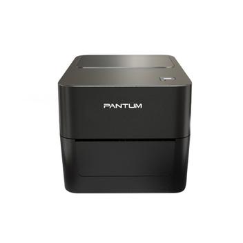 Impressora Térmica Etiqueta Pantum Pt-d160 Transferência Térmica Monocromática Usb Bivolt