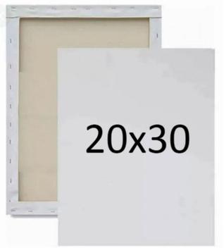 Kit 10 telas de pintura 20x30 - Real Seda - Tela para Pintura ...