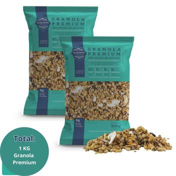 Kit 2 Granola Premium Sem Açúcar 500g Dieta Saudável Fitness - Alquimya ...