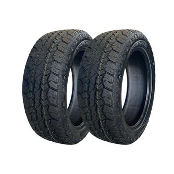 Pneu Doublestar W01 215/55 R18 95t - 2 Unidades