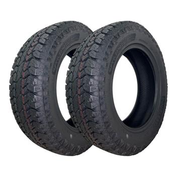 Pneu Doublestar W01 225/65 R17 102t - 2 Unidades
