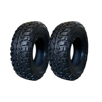 Pneu Aplus Tires A929 M/t 31x10,5 R15 109q - 2 Unidades