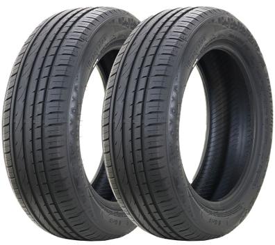 Pneu Bransales B Grip 205/55 R16 91v - 2 Unidades