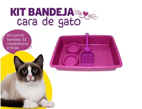 Kit Gato Caixa De Areia Completa Com Pa+2 Comedouro 4 Pecas