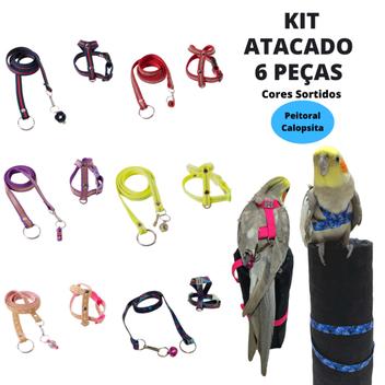 Kit 6 Peitoral Coleira + Guia Para Aves Calopsita Atacado Revenda Loja ...