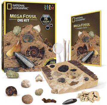 Kit Livro de Dinossauro e de Fóssil de Dente de Dinossauro para Escavar,  National Geographic - Dular