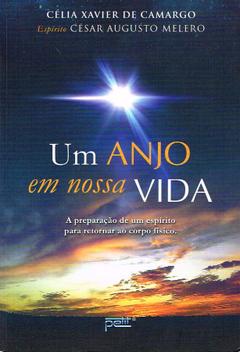 Livro - Um anjo em nossa vida - Livros de Religião - Magazine Luiza