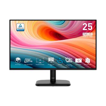 Monitor 24.5