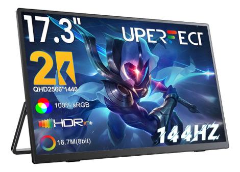 Monitor 17.3