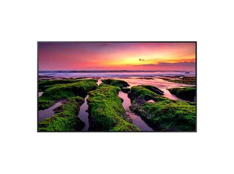 Monitor 65