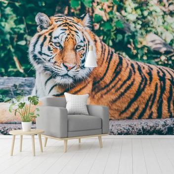 Painel fotográfico tigre – City Decor