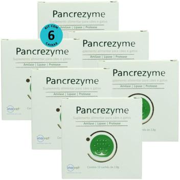 Pancrezyme Suplemento Cães E Gatos 2,8G Com 10 Sachê Kit 6 - Inovet ...
