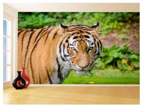 Papel De Parede 3D Animais Tigre Rosto Olhando 3,5M Anm557 - Você