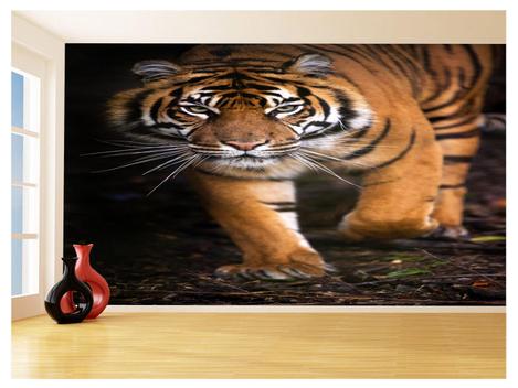 Papel De Parede 3D Animais Tigre Rosto Bravo 3,5M Anm556 - Você Decora -  Papel de Parede - Magazine Luiza