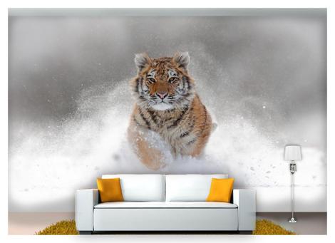 Papel De Parede 3D Animais Tigre Filhote Neve 3,5M Anm572 - Você Decora -  Papel de Parede - Magazine Luiza