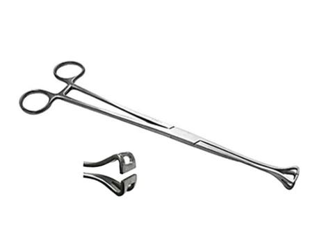 Pinça Babcock 16 cm em aço inox - CICARELLI - Pinças Cirurgicas ...