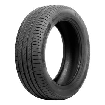 Pneu Delinte Ds2 205/55 R17 95w