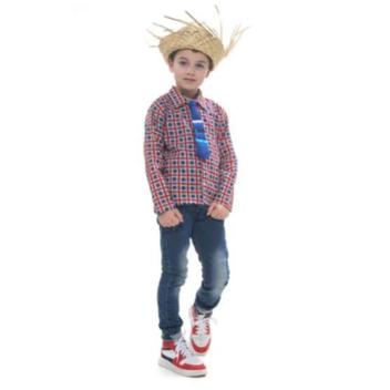 Roupa festa junina camisa xadrez sales